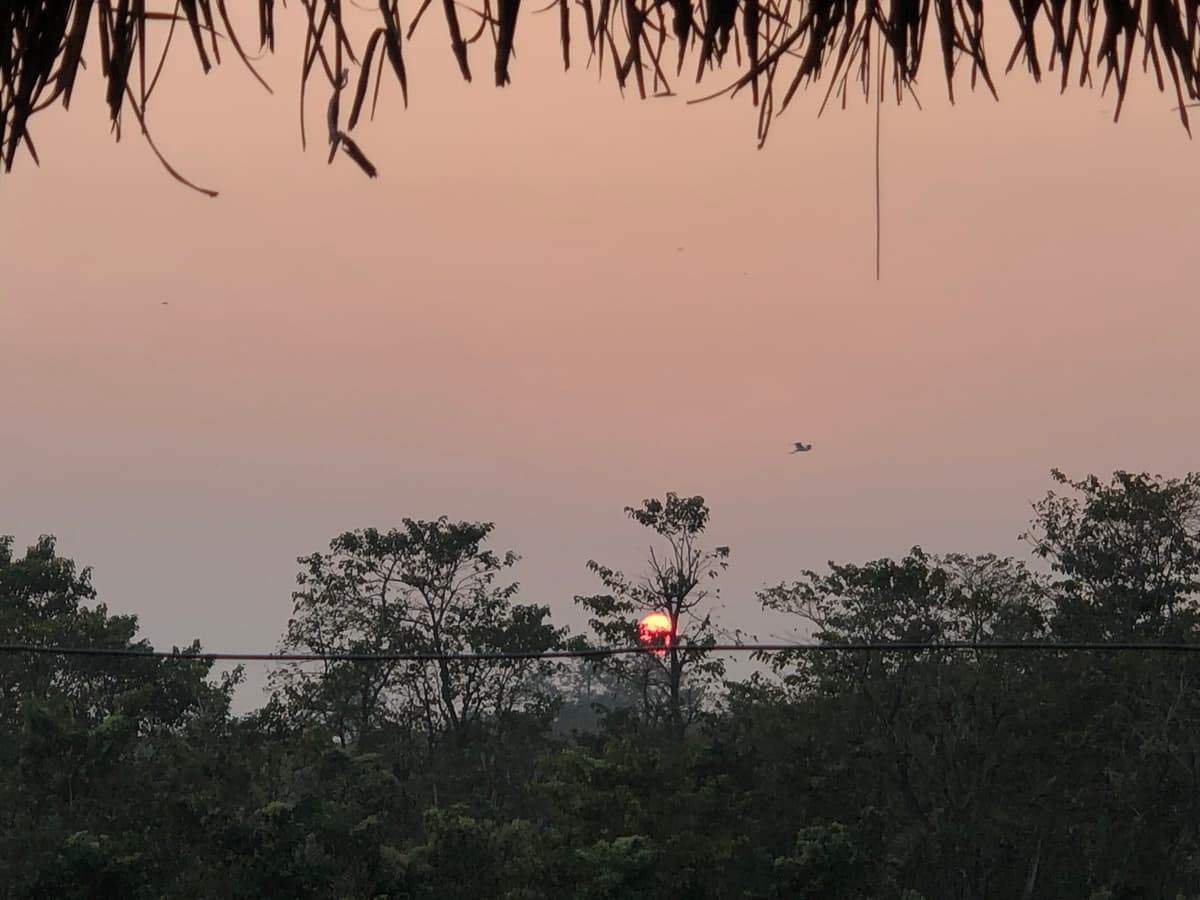 Sunset over the Chitwan jungle